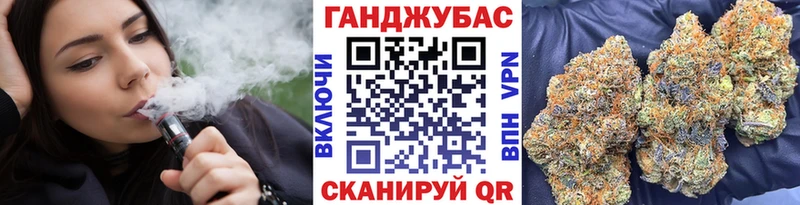 Бошки Шишки планчик Новоузенск