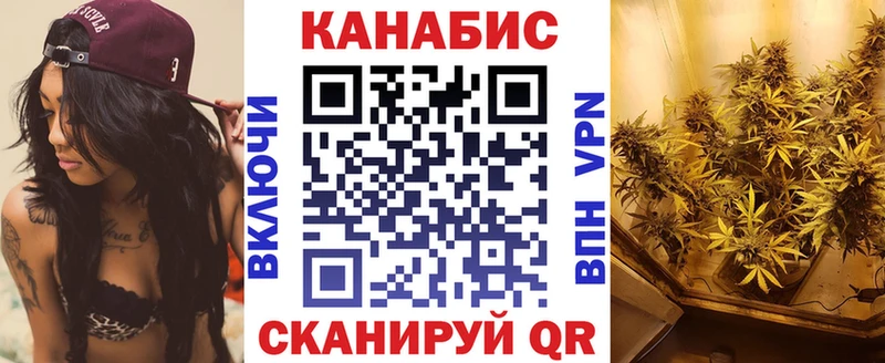 Конопля сатива Новоузенск